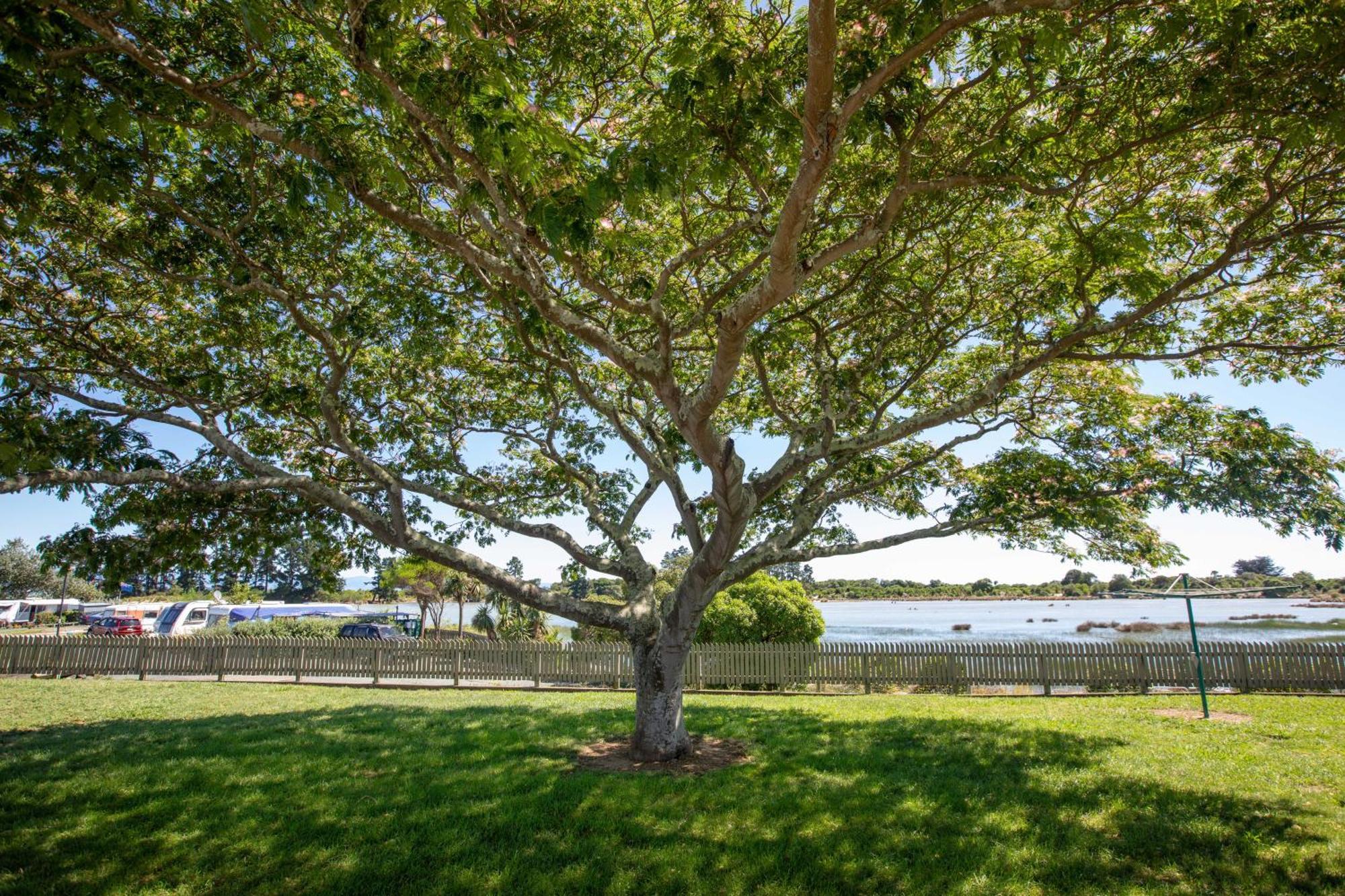 Tahuna Beach Holiday Park Nelson Kamer foto